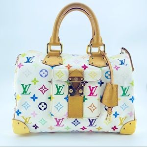 Louis Vuitton Speedy 30 BEST COLORS!